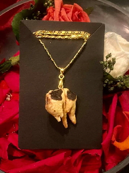 274537418_4890438867706187_4283007921751485541_n